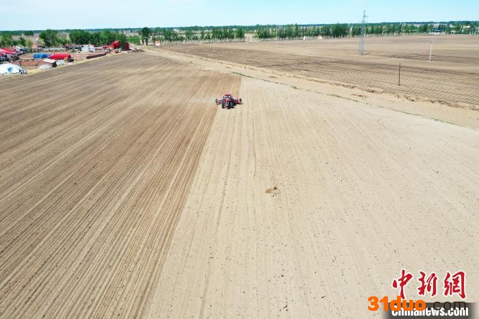 图为航拍大豆玉米带状复合种植播种现场。 吕志敏 摄