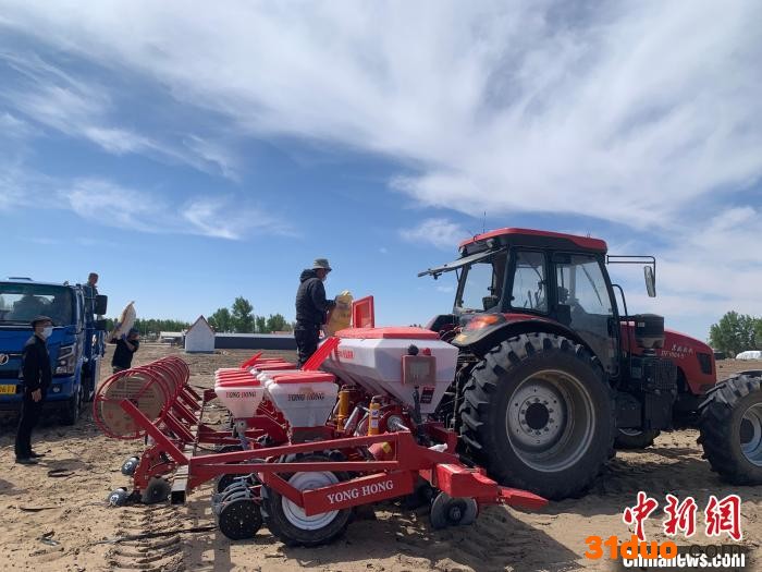 图为大豆玉米带状复合种植播种现场。 吕志敏 摄