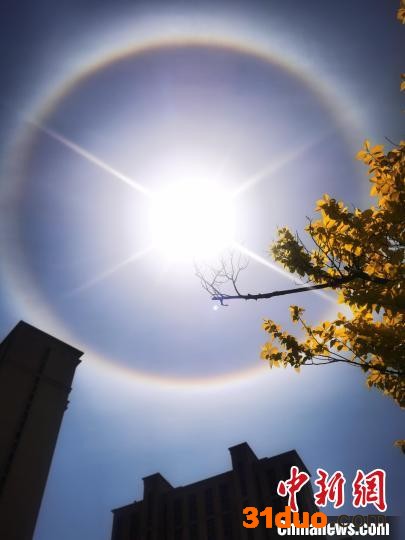 市民拍摄的日晕景观 宽城县委宣传部供图
