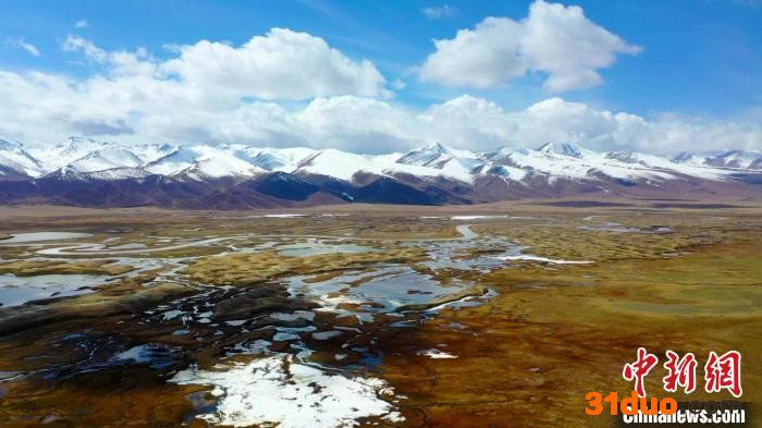 洁白的雪山、黄绿交织的草地相互映衬，构成一幅令人沉醉的天山画卷。 高那清 摄