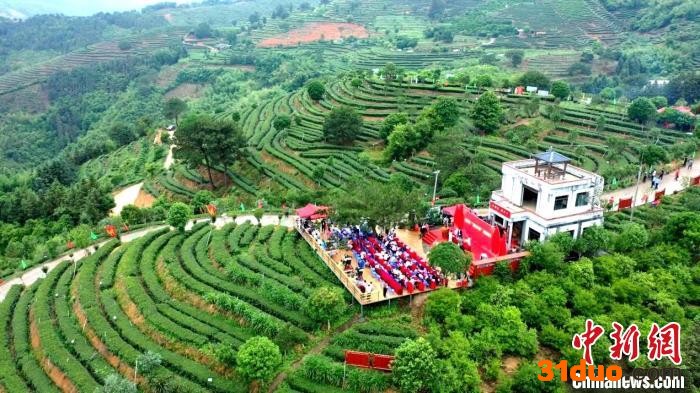图为：2022年红茶文化节暨“尤溪中国数字红茶城”启动仪式活动现场鸟瞰图。 吴振湖供图