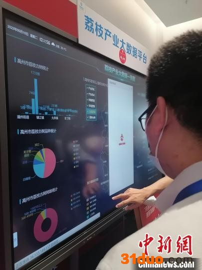 荔枝产业大数据平台 梁盛 摄