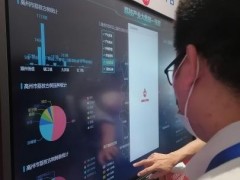 “中国荔乡”广东茂名市发布荔枝产业大数据平台