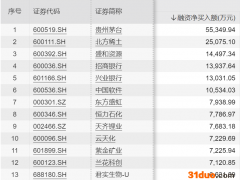 杠杆资金重仓股曝光 贵州茅台居首
