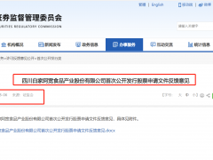 证监会对阿宽食品首发反馈意见：要求说明以新设立公司作为IPO主体原因