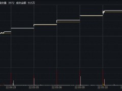 收获八连板后，这家公司提示风险！去年负债率超95%