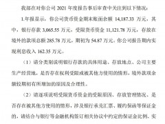 V观财报｜金刚玻璃收年报问询函：账面货币资金真实存在？