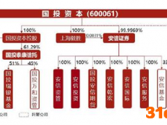 国投资本负债高企或因频繁并购  权益类投资回撤致净利大降九成