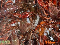 小龙虾红虾和青虾有什么区别？
