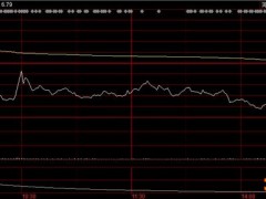 2万股东懵了！三连板牛股德力股份迎“天地板”，这些机构被套，股民：打板买进亏20个点，还好只买1手