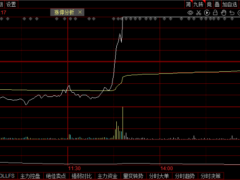 上演地天板！新能源环卫车龙头拿下三连板，散户大本营参与炒作