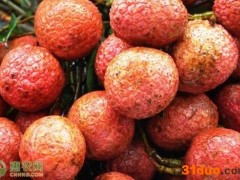 萝岗糯米糍荔枝价格多少钱一斤？