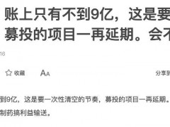 募投项目进度缓慢又要大建产业园 仲景食品回应“15亿从何而来”