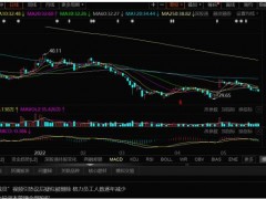 董明珠:宁可降工资也不裁员？公司股价较高点已腰斩，员工总数逐年减少