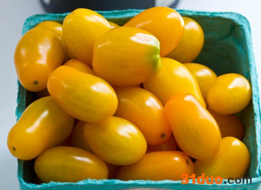 供应进口 番茄种子  的种子