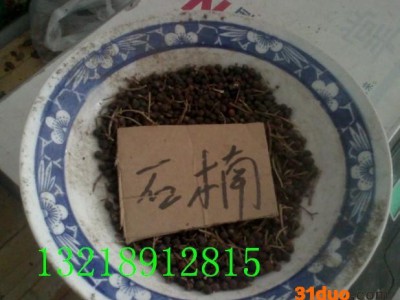 绿化苗木种子，花木种子，花卉种子