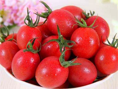 千禧圣女果苗 千禧种子  圣女果种子 圣女果苗  圣女果种苗