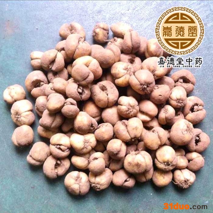 供应浙贝母种子贝母种子