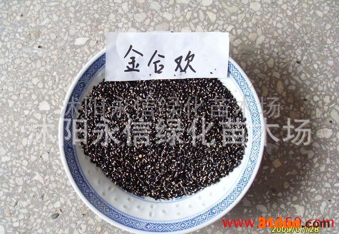 供应永信合欢种子栾树种子印度紫檀种子