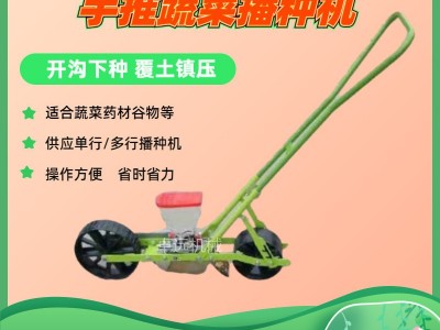 单行蔬菜播种机  双行多行油菜芹菜播种 手推式种子播种机