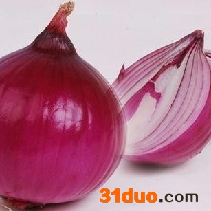 科威   黄皮洋葱种子/红皮洋葱种子/洋葱种子/白皮洋葱种子
