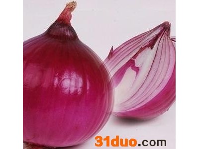 科威   黄皮洋葱种子/红皮洋葱种子/洋葱种子/白皮洋葱种子