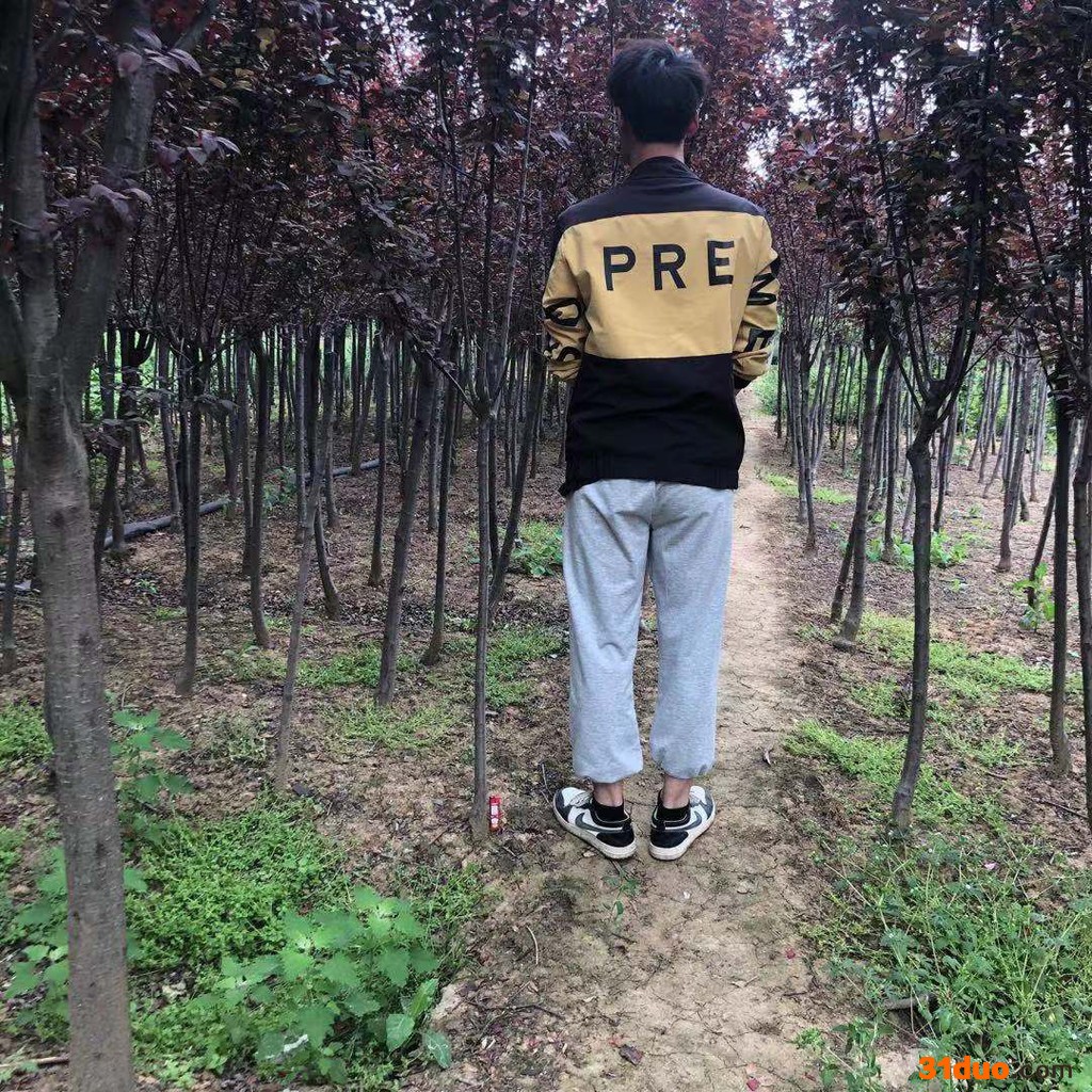 苗圃供应 紫叶李树苗 红叶李价格  量大价优