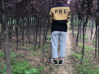 苗圃供应 紫叶李树苗 红叶李价格  量大价优