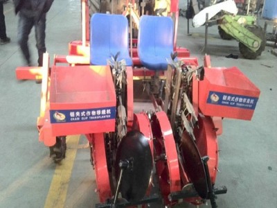 天马2ZQ 树苗移栽机   蛋白桑移栽机  蛋白桑栽苗机 移栽效率高  厂家低价直销