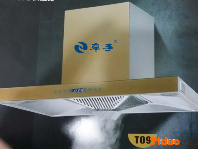 牵手DG353油烟机加盟经销厨卫电器批发代理厨房电器投资厨房电器生意