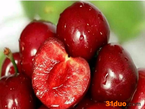 40公分红樱桃树苗批发