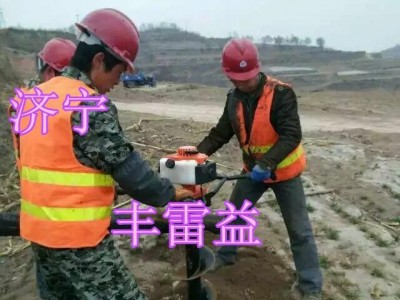 **曲阜便携式地钻价格 树苗植树挖坑机图片【丰雷益】