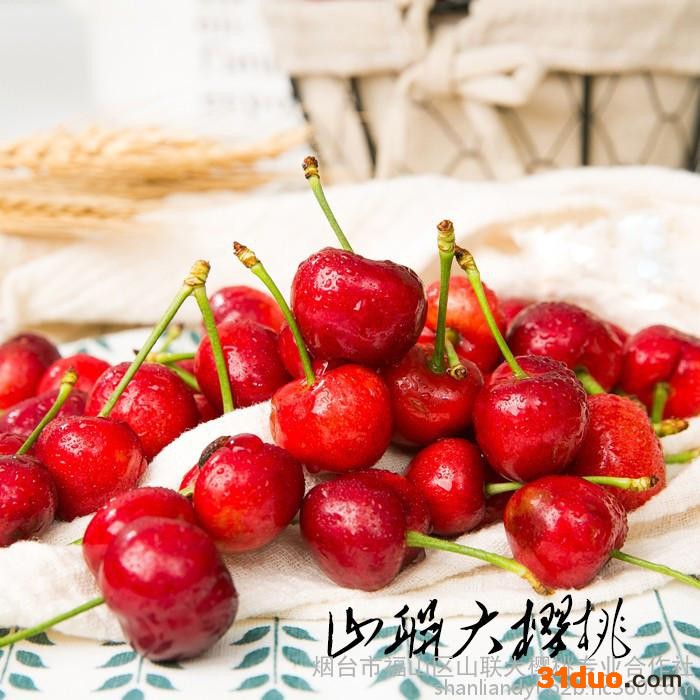 车厘子树苗嫁接樱桃树苗果树苗盆栽地栽樱桃树苗南北方当年结果正宗矮化烟台大樱桃树苗美国车厘子苗果树苗地栽盆栽南方北方种植