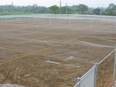 厂家供应 防鸟网 花卉防虫网60目