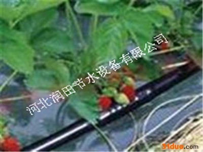 河北省滴灌管性能 花卉滴灌生产 滴灌厂家品牌霈泽多种 滴灌管