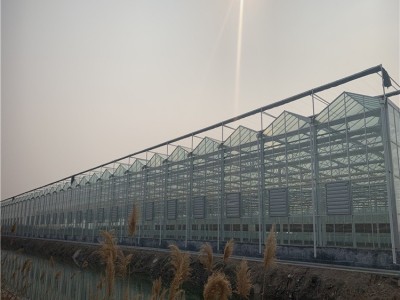 安徽玻璃温室大棚图纸设计 智慧农业花卉玻璃温室施工方案连栋玻璃温室免费指导 玻璃大棚