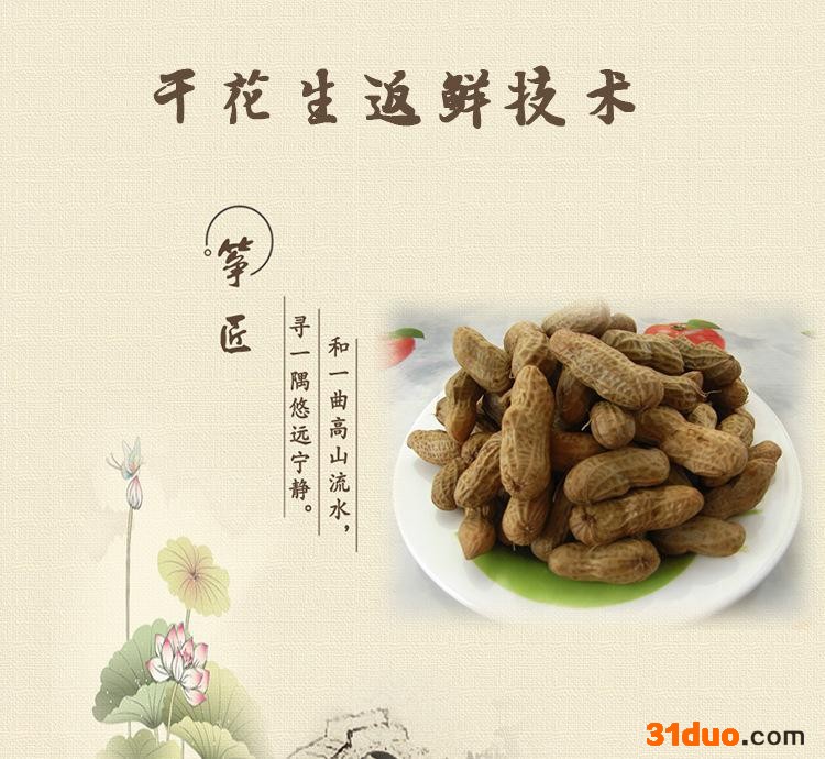 爆款实用技术培训小零食花生加工休闲食品在家生产办厂小本好生意