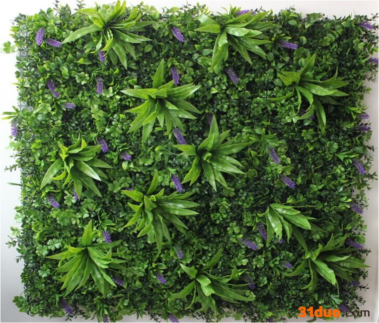 葵百合 植物墙 绿化养护假草 假花 花卉租摆