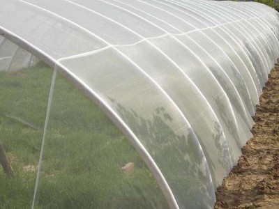 批发 河北防虫网 园艺花卉防虫网