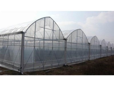 连栋温室大棚 山东 温室大棚 花卉连栋温室大棚