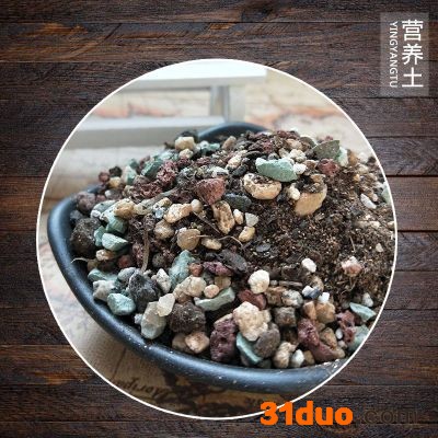 源头厂家 多用肉土  栽培育苗专用土 绿植花卉营养土