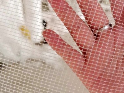 果园蔬菜防虫网 花卉苗木防虫网