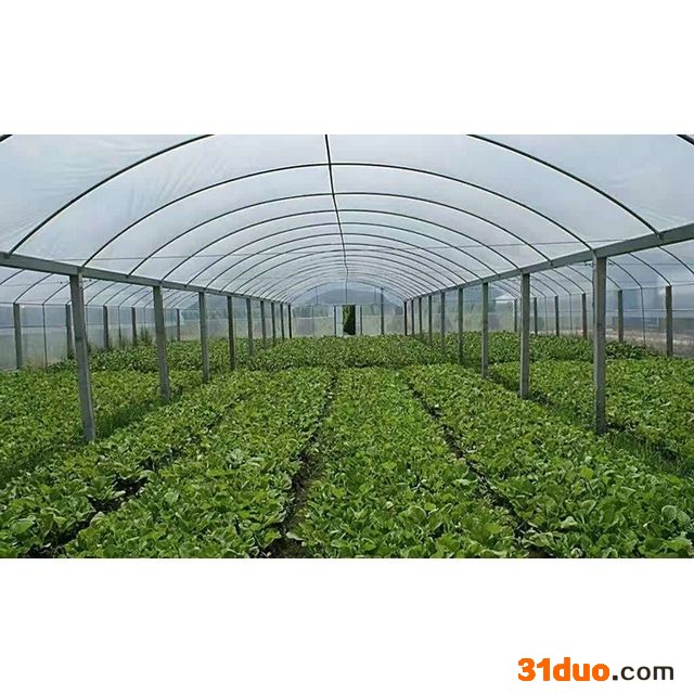 连栋日光温室_花卉大棚_连栋温室_草莓采摘温室大棚_瑞恒