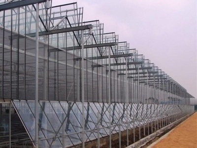 科研温室 温室工程 温室大棚 花卉大棚骨架 玻璃温室承建 阳光板温室