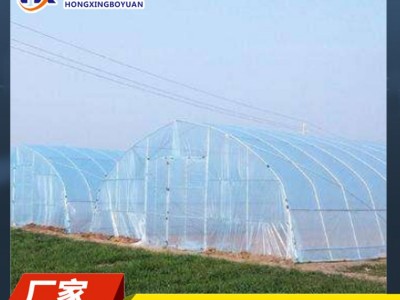 防腐大棚管 大棚设计 花卉种植棚 花卉大棚
