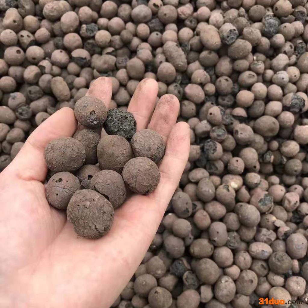 大号陶粒3-5CM园林花卉花艺隔水种植轻质垫底厂家供应直销