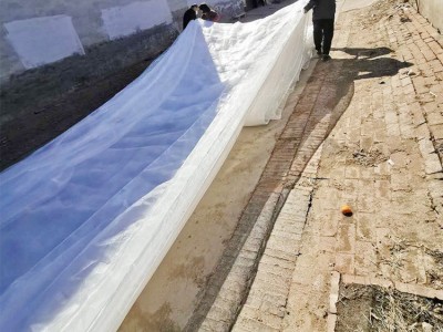 润石 聚乙烯防虫网 园艺花卉防虫网