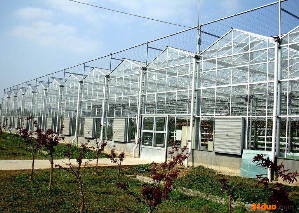 智能蔬菜温室大棚|玻璃温室大棚|花卉温室大棚设计_来电咨询瑞恒