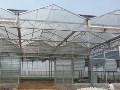 阳光板大棚造价 承建阳光板大棚 花卉大棚