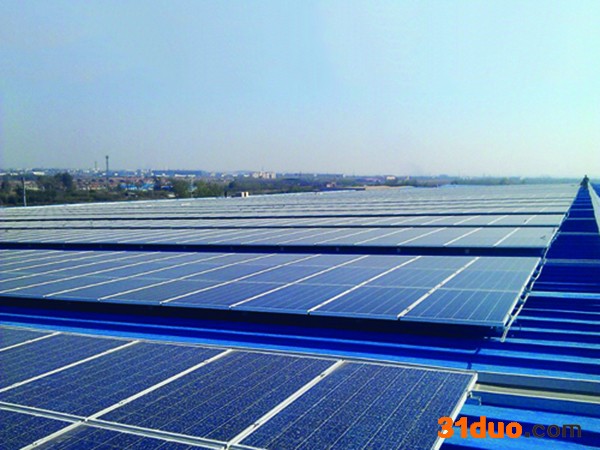 哲浩 土墙日光温室大棚承建 农业花卉连栋大棚 日光温室造价